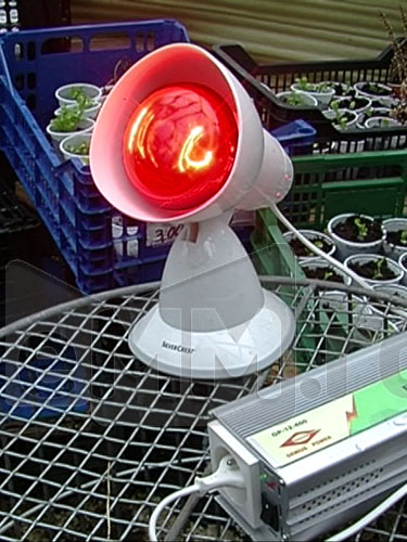 Foto: Sera autosustenabila Baia Mare (c) eMM.ro